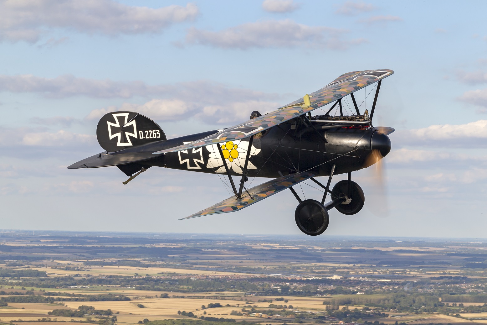 D_Harbar_Albatros_2019_015small