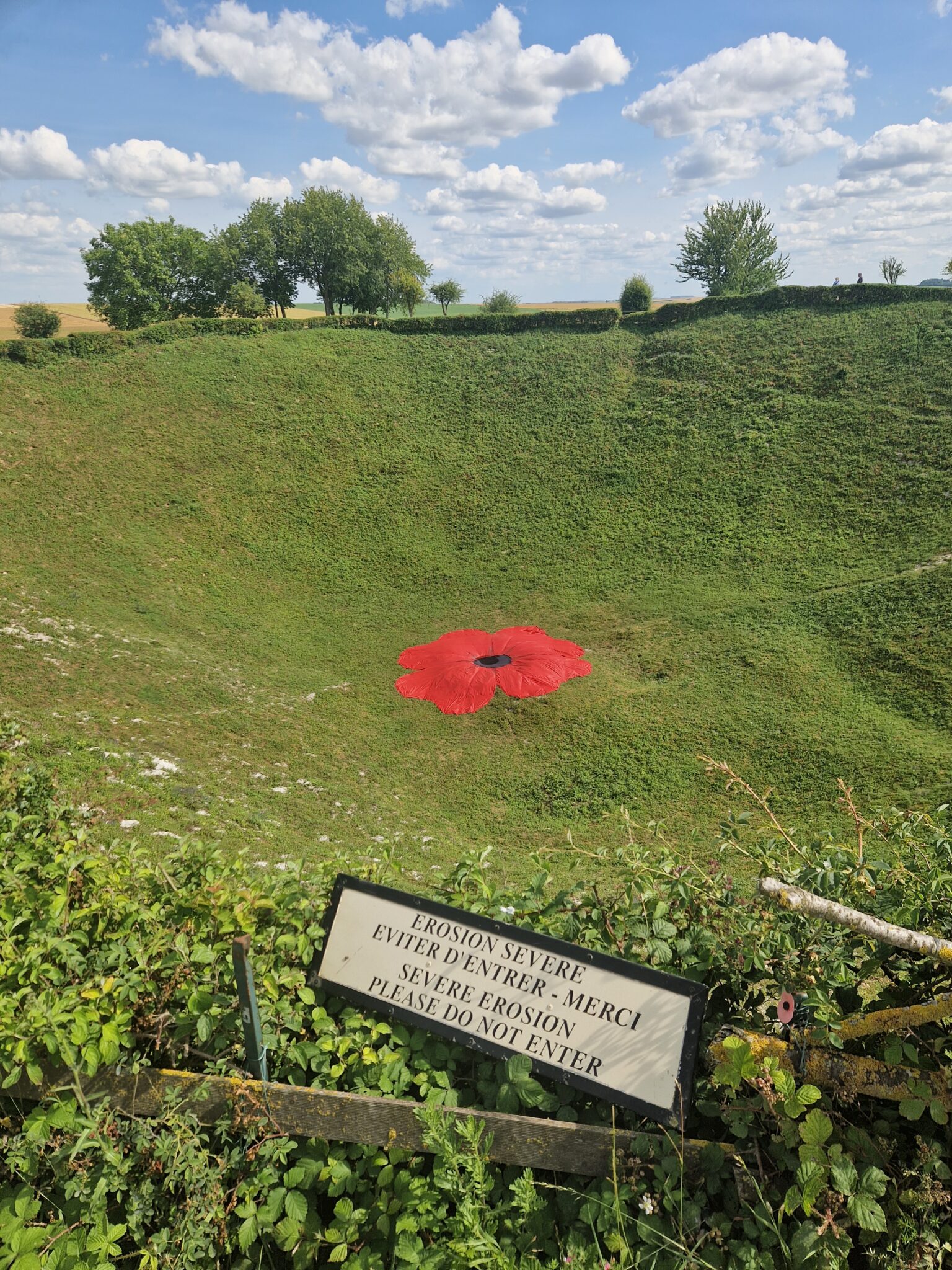 The Poetry Plane 2025 – The Plan, The Lochnagar crater – WW1 Aviation ...